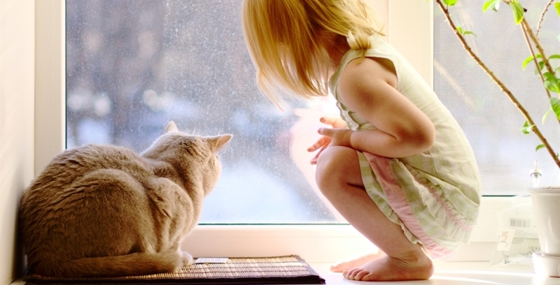 Ein kleines Mädchen und eine Katze schauen aus dem Fenster